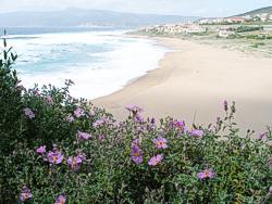 The beach at Porto Alabe, taken in May